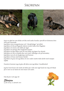 Skorpan in memorial