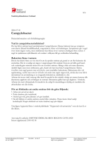 Campylobacter - Region Gotland