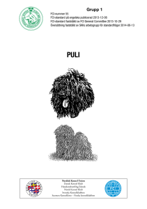 Grupp 1 PULI - Svenska Kennelklubben