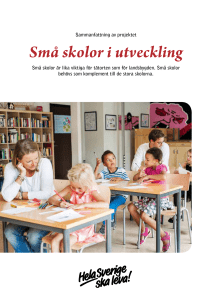 Små skolor i utveckling