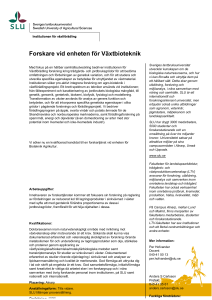 Forskare vid enheten för Växtbioteknik