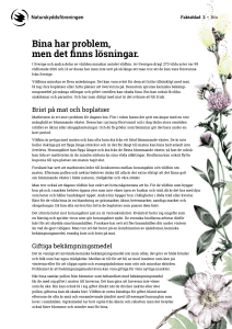 Bina har problem, men det finns lösningar.