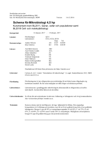 Schema förMikrobiologi 4,5 hp - BIG
