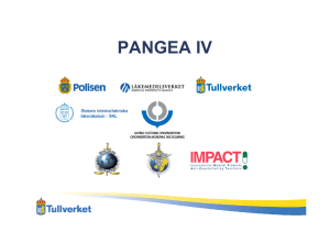 B1 PANGEA IV