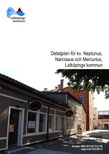 Planbeskrivning Neptunus, Narcissus och Mercurius