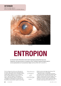 Entropion - Svenska Kennelklubben