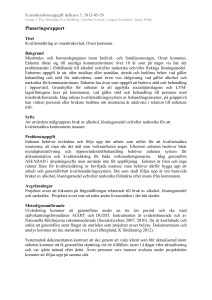 Planeringsrapport