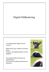 Digital bildhantering
