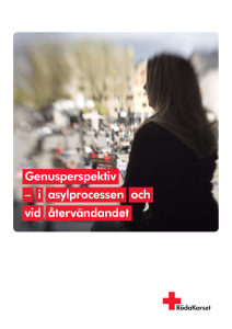Genusperspektiv i asylprocessen och vid återvändandet