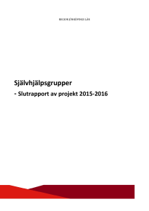 Självhjälpsgrupper - Region Plus