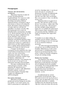 Principprogram Visionen: Den demokratiska socialismen