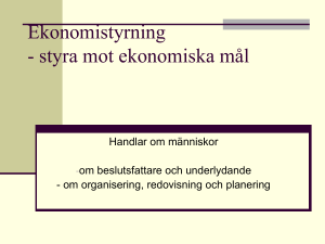 Ekonomistyrning
