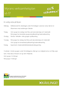 Myrans verksamhetsplan vt-17