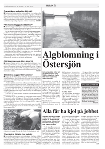 Alla får ha kjol på jobbet