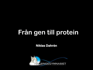 Gen DNA-molekyl mRNA Protein