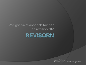 Vad gör en revisor och hur går en revision till?