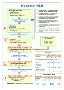 Algoritm 20121011ver12