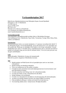 Verksamhetsplan 2009