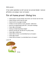 infor-prov - WordPress.com