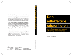 Den reflekterade erfarenheten