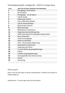 Terminsplanering för: Lördag 8,45 – 9,45 N 2