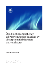 Ökad biotillgänglighet av tobramycin under inverkan av