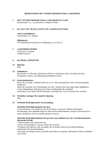 Fenylbutazon vet. oral powder in sachet SmPC
