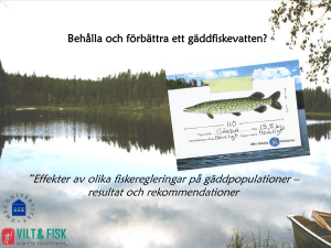 Fiskforskare Pär Byströms powerpoint gällande gädda
