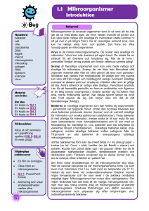Introduktion (TS 1) - e-Bug