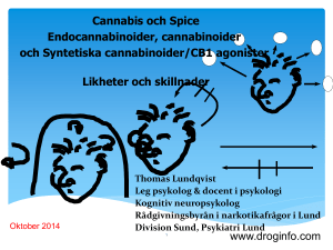 Spice, Precuneus och eliminationsprocessen