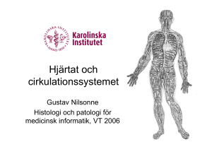 Hjärtat och cirkulationssystemet