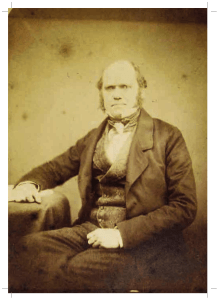 Staffan Ulfstrand