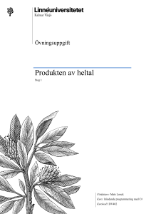 Produkten av heltal