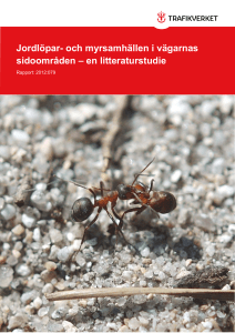 och myrsamhällen i vägarnas sidoområden
