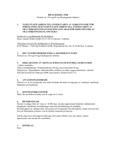 Drontal vet. film-coated tablet PL