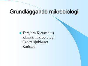 Grundläggande mikrobiologi