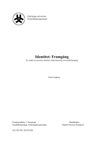 Identitet: framgång - IEI