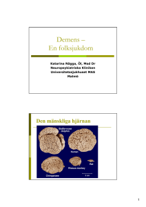 Demens – En folksjukdom