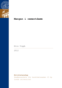 Mangan i cementdamm