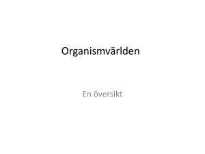 Organismvärlden