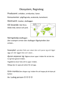 Ekosystem