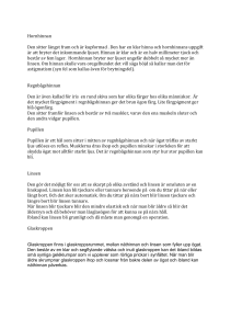 Fakta ögat