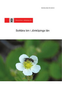 Solitära bin i Jönköpings län