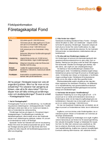 Företagskapital Fond 131111