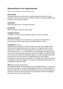 Ögonsjukdomar - Cocker Spaniel Klubben