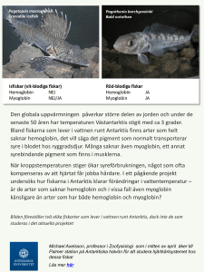 Den globala uppvärmningen påverkar större delen av jorden och