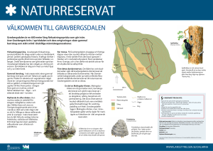 välkommen till gravbergsdalen