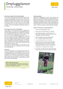 Plantera enkelt