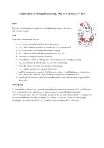 Arbetsschema i biologi/livskunskap, ”Sex och samlevnad”, år 8