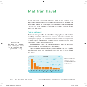 Mat från havet